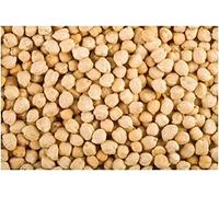 SEMI DI GERMINAZIONE: 2 Unzen Bio Kichererbsen Samen -A2