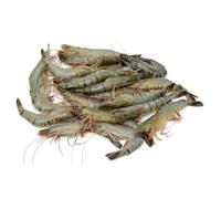 Semi-Frozen Raw Head-On Black Tiger Prawns 16-20 per kg (1kg x 6 Packs) - Premium Whole Tiger Prawns