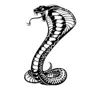 Semi-permanent tattoos,2 sheets Waterproof Snake Temporary Tattoo for Men Women Adults,3D Realistic Tattoos Half Sleeve Temporary Tattoos