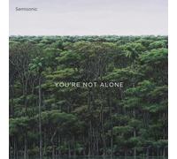 Semisonic You're Not Alone EP (Vinyl) (US IMPORT)