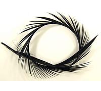 Semperfli GOOSE BIOTS for Fly Tying, Good for cheeks on buzzer flies (Black)