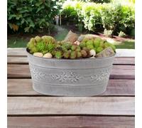 Sempervivum Leafy Vine Trough Planter Hardy Succulent In Decorative Metal Trough Garden Plant