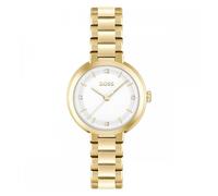 Sena 34mm Ladies Watch Gold