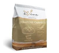 Senatore Cappelli | Italian Remilled Semolina from Ancient Durum Wheat Kg 5 - Pugliese - For Breads, Focaccia, Pasta - With Live Wheat Germ - èViva