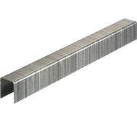 Senco F06BAAP F Staple Galv 9.5Mm 20-Gauge Box 24000