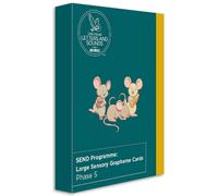SEND Programme: Large Sensory Grapheme Cards : Phase 5
