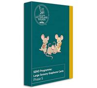 SEND Programme: Large Sensory Grapheme Cards: Phase 5 (Big Cat Phonics for Little Wandle Letters and Sounds Revised)