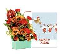 SendaBunch Christmas Robin Greeting Card, including your personalized message, with a Christmas Red Miniature Arrangement gift wrapped and delivered in a Gift Box from