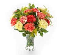 Sendabunch Luxury Mixed Carnation Bouquet | 18 Fresh Stems with Belgian Chocolates & Gift Card | UK Delivery for Valentine's, Birthday, Mother's Day & All Occasions