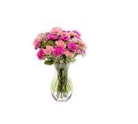 Sendabunch Pink Carnation Bouquet, 18 Fresh Stems | Luxury Flowers with Gypsophilia, Greenery, Belgian Chocolates & Gift Message Card
