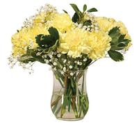 Sendabunch Yellow Carnation Bouquet, 18 Fresh Stems | Luxury Flowers with Greenery, with a Gift Message Card