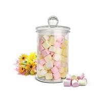 Sendez Storage Jar 3000 ml Storage Jar Glass Container Candy Biscuit Jar Preserving Jar