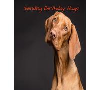 Sending Birthday Hugs!: As cheap as sending a nice card: No worries about a stamp! Beautiful and useful gift. 8x10inches Notebook Journal College ruled