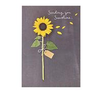 Sending You Sunshine Birthday Greeting Card Into The Meadow Range Cards