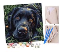 SENDJJ Paint by Numbers for Adults, 40x40 cm Acrylic Oil Paints by Numbers for Adults Beginner Kids Black Labrador on The Grass (7) Painting Kit with 4 Brushes Watercolor Paints Easy