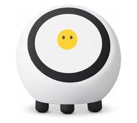 SENECESLI AI Robot for Deepseek, 1.28 Inch Screen Smart Talking Robot Companion Voice Wake Up for DeepS I Powered Toy with Bluetooth 5.0 WIFI Weather Clock, Video Music Playback