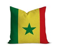 Senegal Flag Farmhouse Decorative Throw Pillow Case 20 x 20 Inch, Vintage Retro Rustic Flag Cushion Cover Case, Patriotic Square Pillow Case Cotton Linen Cushion Case for Mom Dad Friends Gift