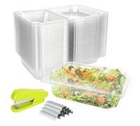 SENENQU Pack of 101 Cupcake Boxes Clear - 22 x 14 x 7.5 cm Individual Cake Boxes, Cake Packaging Plastic for Large Muffins, Salad, Cheese, Cake, Pasta, Suitable for Gifts, Party, Wedding, Pastry Shop