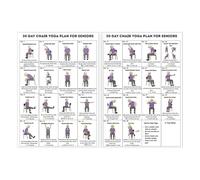 Senior Chair Yoga Poster, Easy-To-Follow Exercise Guide, 2pcs, Chair Yoga Posters, Seated Exercise Charts, Large & Readable Layout, for Mobility, Balance, Flexibility, Stretching & Home Fitness