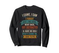 Senior Citizen I Came I Saw I Forgot What I was Doing Retro Sweatshirt