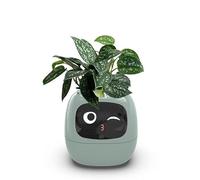 SENIURIS Ai Smart Planter, Intelligent Multiple Pets Like Expressions Flowerpots with Sensors, Smart AI Chips Make Rasising Plants Easy and Fun for Living Room. (Green)