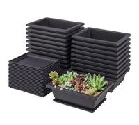 SENJEOK 20PCS Bonsai Training Pots and Tray, Small Plastic Rectangular Bonsai Plants Pot for Indoor Outdoor Garden Yard, 16.5 x 12 x 6cm