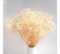 Senlwod 80g Dried Baby's Breath Flowers with 2500+ Buds 43cm Natural Dried Baby's Breath Branches for Wedding Party Home Decoration (Beige)