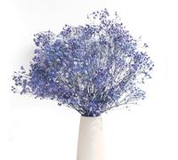 Senlwod 80g Dried Baby's Breath Flowers with 2500+ Buds 43cm Natural Dried Baby's Breath Branches for Wedding Party Home Decoration (Sapphire Blue)