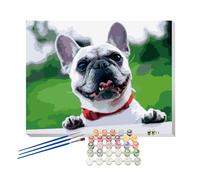 Senmate Custom Paint by Numbers for Adults, AI-Optimized Personalized Painting Kit, DIY Oil Painting with Wrinkle-Resistant Canvas, Frame Option, Beginner-Friendly Art, Unique Gift for Home Décor