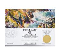 Sennelier La Carte Pastel Card Pochette, 15.75" x 11", Monochromatic Naples Yellow