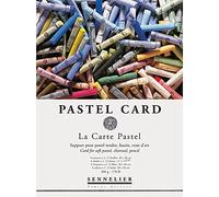 Sennelier La Carte Pastel Pad, Multi 12x16