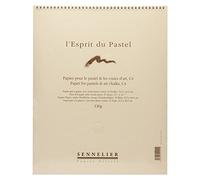 Sennelier Pastel Paper, 25 Sheets, C4, Grey, 32.5 x 40.5 cm