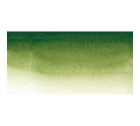 Sennelier Watercolour 10ml Tube S1 - Sap Green (819)