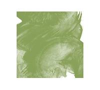Sennelier Watercolour Half Pan S1 - Green Earth (213)
