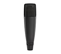 Sennheiser MD 421 II Dynamic Instrument and Vocal Microphone