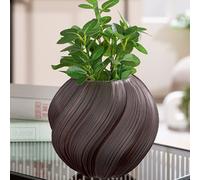 senoia glass fluted vase - dark brown