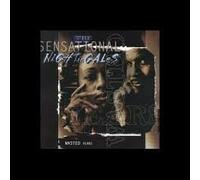 Sensational Nightingales - Wasted Years [CASSETTE]