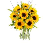 Sensational Sunflowers - Fresh Cut Flower Bouquet for Birthdays, Anniversaries, or Thank You Gifts - Bright and Cheerful Floral Surprise (Large)