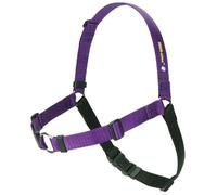 Sense-Ation Harness SENSE-ation No-Pull Dog Harness (Purple, Large Wide) by