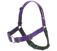 SENSE-ation No-Pull Dog Harness - Purple Medium