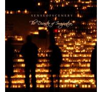 Sense of Scenery - Disaster of Imagination