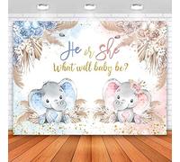 Sensfun Boho Elephant Gender Reveal Backdrop for Party Decorations He or She What Will Baby Be Gender Reveal Photography Background Pampas Grass Boy or Girl Baby Shower Backdrops Photoshoot 7x5ft