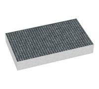 Sensitive AirClean Filter with Active Charcoal (DKF 29-S)