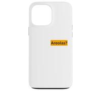 Sensitive Areolas? - gifts for perverts Case for iPhone 13 Pro Max