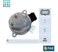camshaft position sensor Hall Sensor 79261 FAE for AUDI VW SKODA SEAT GEELY