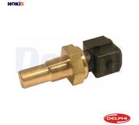 Delphi TS10244-12B1 Temperature Transmitter