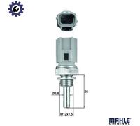MAHLE TSE 27 Sensor, coolant temperature