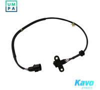 KAVO PARTS ECR-5503 Crankshaft sensor