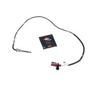 SENSOR, EXHAUST GAS TEMPERATURE 707087