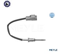 SENSOR EXHAUST GAS TEMPERATURE 714 800 0037 FOR FORD TRANSIT/V363/Bus/COURIER